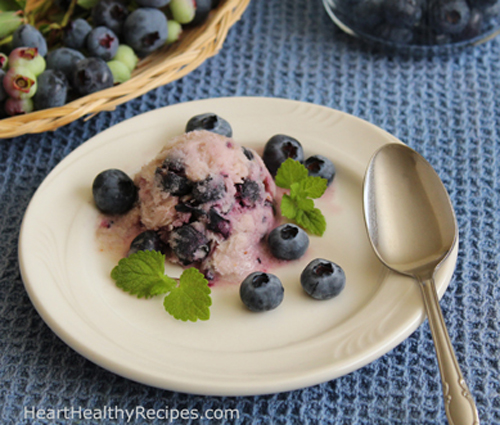 Dairy-Free Blueberry Ice Cream