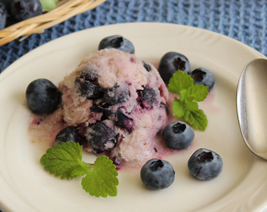 Dairy-Free Blueberry Ice Cream