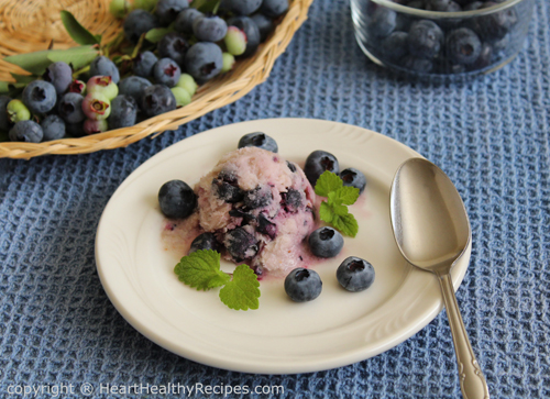 Dairy-free, egg-free, blueberry ice cream