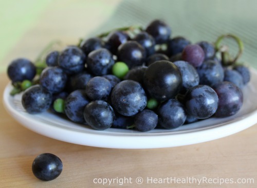 Bunch of purple concord grapes.