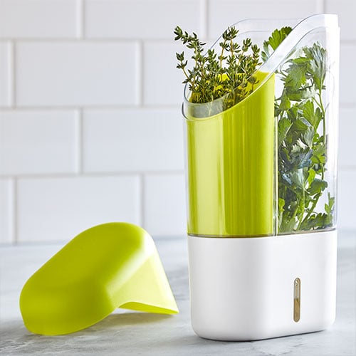 Herb container with fresh herbs on a kitchen counter.