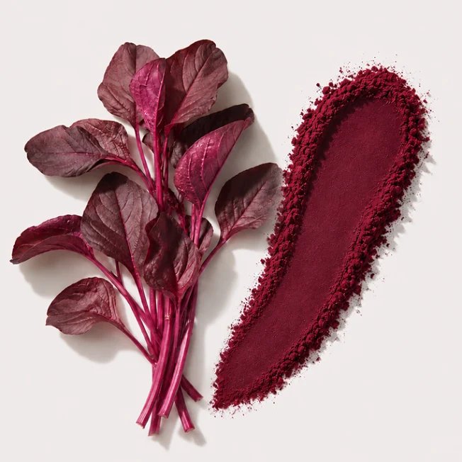 Red Leaf and Powder to symbolize product of natural blood flow support supplement.