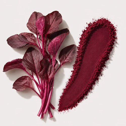 Red Leaf and Powder to symbolize product of natural blood flow support supplement.