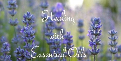 Close-up of lavender in field with word overlay "Healing with Essential Oils"